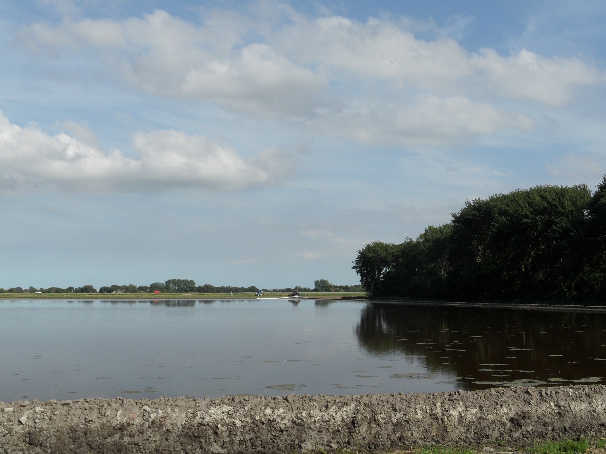 Inudatie van bloembollenland, voor een gezonde bodem