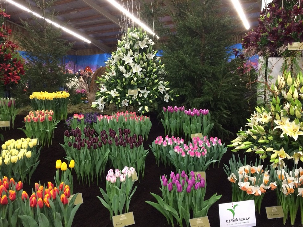 Inzending Lentuin 2016